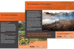 Kuirau Park, Rotorua informational signage